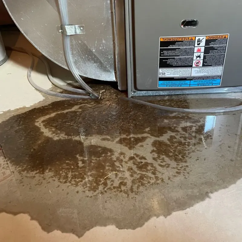 Pipe Burst and Leak Restoration in West Buechel, KY