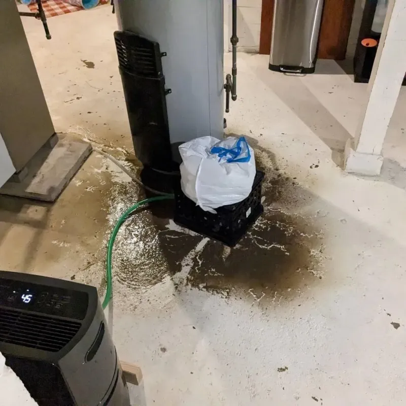 Sewage Backup Cleanup Service in West Buechel, KY